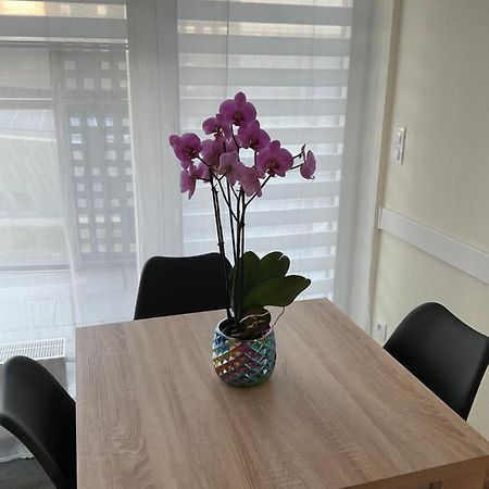 Apartament Apartament „Dwie Wieze” Katowice Zewnętrze zdjęcie